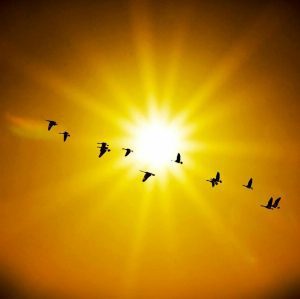 proteccion solar
