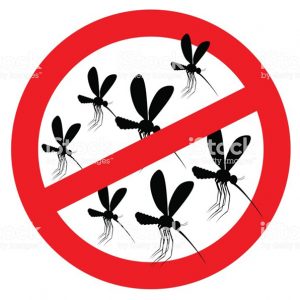 repelente insectos natural